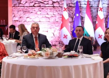 ოჯახის სფეროში თანამშრომლობა – რა დოკუმენტებს მოაწერეს ხელი საქართველომ და უნგრეთმა?