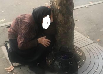 “თბილისი – პეკინის გამზირი – ორნიშნა ეკონომიკური ზრდა” – “ჩემი ქალაქი მკლავს”