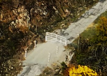 “ოკუპანტმა გააგრძელა მზადება რაჭის შემდგომი ოკუპაციისთვის” – დავით ქაცარავა