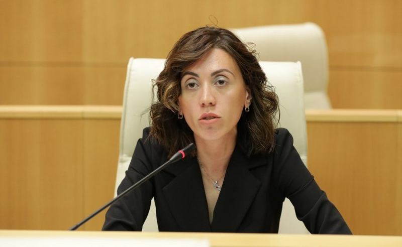 “ადგილობრივ არჩევნებში მონაწილეობა არ დაკავების საფასურია?” – ანი წითლიძე