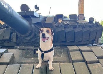 “ზაზა მუდმივად წინა ხაზის მებრძოლია, არც ძაან ახალგაზრდაა…” – რას წერს გივი თარგამაძე