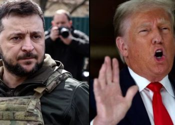 24 წუთში ავუხსნი, რატომ ვერ დაამყარებს მშვიდობას – ზელენსკიმ ტრამპი უკრაინაში დაპატიჟა