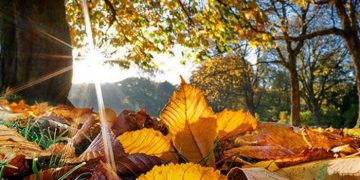 როგორი ამინდი იქნება დღეს საქართველოში