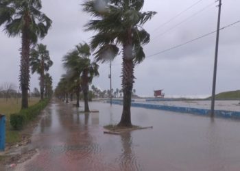 “არავინ გვაქცევს ყურადღებას… ცოცხლები ვართ, მკვდრები ვართ…” – რა ხდება ანაკლიაში