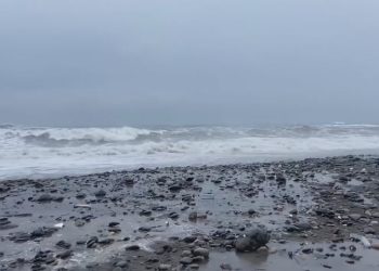 ქობულეთსა და ბათუმს სტიქიამ პრობლემები შეუქმნა