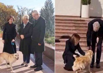 მაია სანდუს ძაღლმა ავსტრიის პრეზიდენტს უკბინა