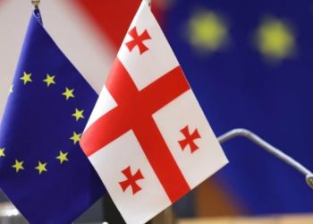 დეოლიგარქიზაციის სამოქმედო გეგმა გამოქვეყნდა