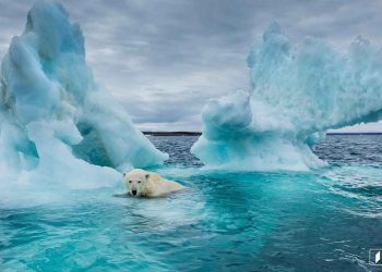 ყველაზე თბილი ოქტომბერი და ყველაზე თბილი წელი ისტორიაში –