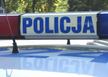 საქართველოს მოქალაქის მკვლელობის უცნაური დეტალები და შემაშფოთებელი სტატისტიკა პოლონეთიდან