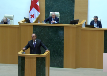 “ნაბიჭვარო, დედას შე@@@@, გააჯ@@ აქედან” – გინება და დაპირისპირება პარლამენტში