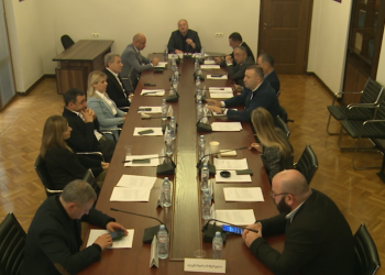 “ბოდიში ღიმილით არ არის ბოდიში” – კამათი და დაპირისპირება თავდაცვის კომიტეტზე