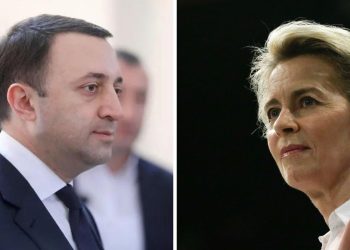 საქართველოს მოსახლეობის მისწრაფებები მეტად უნდა აისახოს მთავრობის მოქმედებებში – ლაიენი