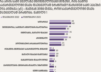ემიგრაცია, სიღარიბე, უმუშევრობა, ინფლაცია – NDI-ის ახალი კვლევა