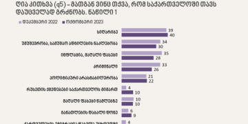 ემიგრაცია, სიღარიბე, უმუშევრობა, ინფლაცია – NDI-ის ახალი კვლევა