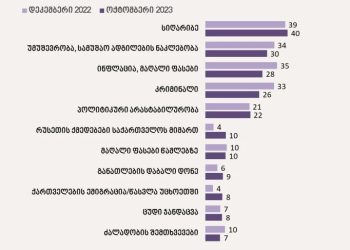 მოსახლეობის 30% თავს დაუცველად გრძნობს – რა საკითხები სახელდება დაუცველობის მიზეზად NDI-ის კვლევაში?