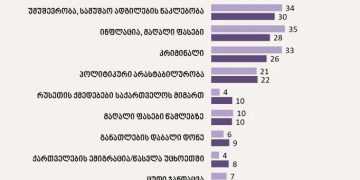 მოსახლეობის 30% თავს დაუცველად გრძნობს – რა საკითხები სახელდება დაუცველობის მიზეზად NDI-ის კვლევაში?