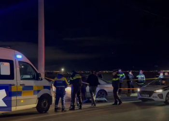 ავტოსაგზაო შემთხვევას ახალგაზრდა მამაკაცის სიცოცხლე ემსხვერპლა