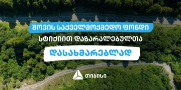თიბისიში შექმნილი შოვის საქველმოქმედო ფონდი სტიქიით დაზარალებულთა მხარდასაჭერად