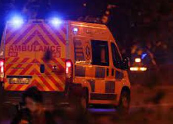 წლინახევრის ბავშვს ლობიო გადასცდა და დაიღუპა