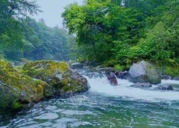 ოზურგეთში ახალი დაცული ტერიტორია – “გურიის ეროვნული პარკი” შეიქმნება