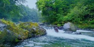 ოზურგეთში ახალი დაცული ტერიტორია – “გურიის ეროვნული პარკი” შეიქმნება