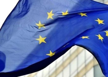 დაკავებულია პრორუსული დაჯგუფების წევრი, რომელმაც მცხეთის გამგეობაზე აღმართული ევროკავშირის დროშა დაწვა