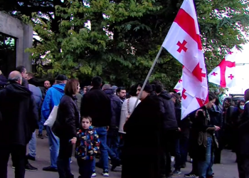 რაჭის ტყეების აქციაზე დაკავებული რამდენიმე პირი სასამართლომ სამართალდამრღვევებად არ მიიჩნია – საია