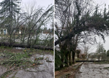 სტიქია წალენჯიხაში – ქარმა საცხოვრებელი სახლები და ელექტროსადენები დააზიანა