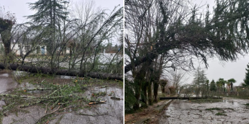 სტიქია წალენჯიხაში – ქარმა საცხოვრებელი სახლები და ელექტროსადენები დააზიანა