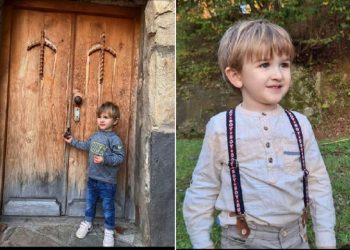 პატარა ლაზარეს, რომელიც პიტბულმა დაკბინა, საზოგადოების დახმარება ესაჭიროება- “თავზე აქვს უმძიმესი ტრავმა, ესაჭიროება ურთულესი ოპერაცია“