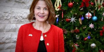 ახალი წელი დგება და მინდა, კიდევ ერთხელ მივულოცო ყველა ქართველს უზარმაზარი მიღწევა, რომელსაც წელს ევროკავშირის კანდიდატის სტატუსის მოპოვებით მიაღწიეთ – რობინ დანიგანი