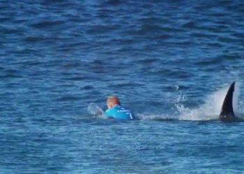 ავსტრალიის სანაპიროზე ზვიგენის თავდასხმას თინეიჯერი ბიჭი ემსხვერპლა