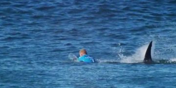 ავსტრალიის სანაპიროზე ზვიგენის თავდასხმას თინეიჯერი ბიჭი ემსხვერპლა