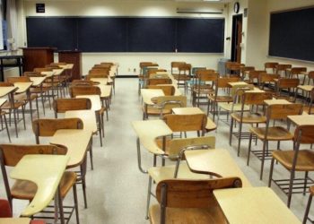 მე-10-მე-12 კლასებში მოსწავლეები შესაძლოა, პროფილურ სწავლებაზე გადავიდნენ