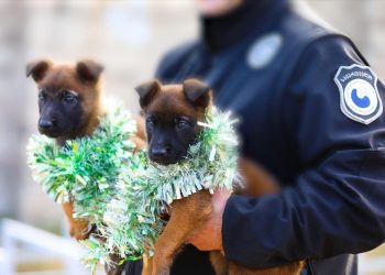 ,,ახალ წელს პენიტენციურ სამსახურში 2 ახალი თანამშრომელი შემოგვემატა” – რატი ბრეგაძე