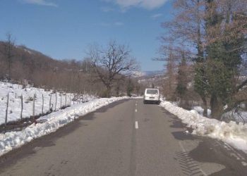 ვაზიანი-გომბორი-თელავის გზის მონაკვეთზე ყველა სახის ტრანსპორტის მოძრაობა აღდგა