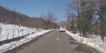 ვაზიანი-გომბორი-თელავის გზის მონაკვეთზე ყველა სახის ტრანსპორტის მოძრაობა აღდგა