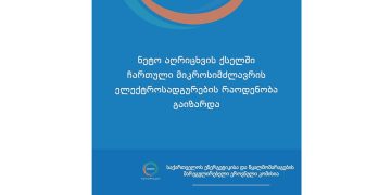ნეტო-აღრიცხვის ქსელში ჩართული მიკროსიმძლავრის ელექტროსადგურების  რაოდენობამ 1000-ს გადააჭარბა