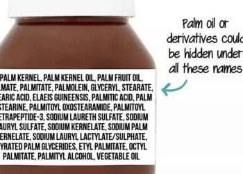 როგორ ამოვიცნოთ პალმის ზეთი შეძენილ პროდუქტებში?