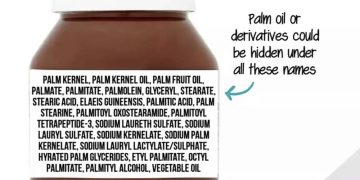 როგორ ამოვიცნოთ პალმის ზეთი შეძენილ პროდუქტებში?
