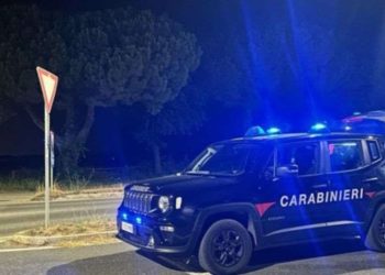 იტალიაში მანქანის ქურდობისთვის საქართველოს მოქალაქე დააკავეს