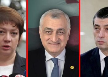 “მაია ცქიტიშვილმა პირადად გააქცია ინვესტორები კაბინეტიდან”; “დამშვიდდი, რა იყო, რა დაგემართა” – ბერდია სიჭინავა და გრიგოლ გეგელია