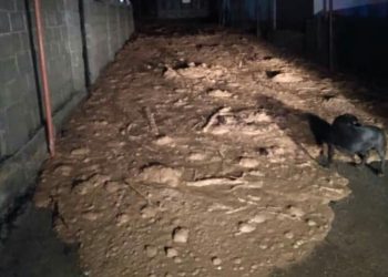 “90 მოჭრილი მუხის, სასტუმროსთვის მთის მოჭრის შედეგებს იმკის სურამი” – ფოტო