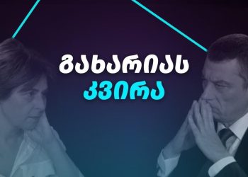 ,,რა ტიპის თანამშრომლობა მაკავშირებს გიორგი გახარიასთან“ – თეონა გეგელიას განმარტება
