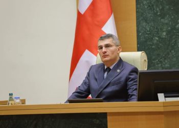 ,, დინამიკურად, სწორი მოქმედებით ჩვენ შეიძლება კორუფციასთან ბრძოლის ინდექსში მსოფლიო ათეულში აღმოვჩნდეთ, ოღონდ ეს არ უნდა იყოს „ნაცმოძრაობის“ მეთოდებით, სახლებში შევარდნებით და სატელევიზიო შოუებად წარმოჩენილი” – მამუკა მდინარაძე