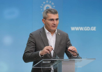 უმრავლესობის ლიდერად მამუკა მდინარაძე აირჩიეს