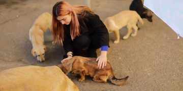 „სახელმწიფო რომ მიწესებს კანონს, რომლის მიხედვითაც მხოლოდ 3 ცხოველის ყოლა შემიძლია, ამ ცხოველებს რა ვუყო ხომ ვერ მეტყვით?“ – ტასო ლოსაბერიძე