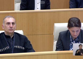 პაპუაშვილის შენიშვნის შემდეგ, ელისაშვილი პარლამენტში ჩოხით მივიდა