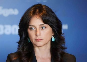 ერთმნიშვნელოვნად ვაცხადებ, რომ ცხოველებზე ევთანაზიის არანაირი ახალი რეგულაცია არ შემოგვაქვს – მაია ბითაძე