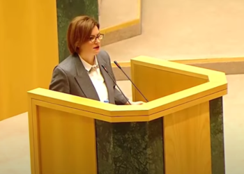 ამა ნაცვლიშვილის სიტყვას პარლამენტში ხმაური მოჰყვა – დეტალები